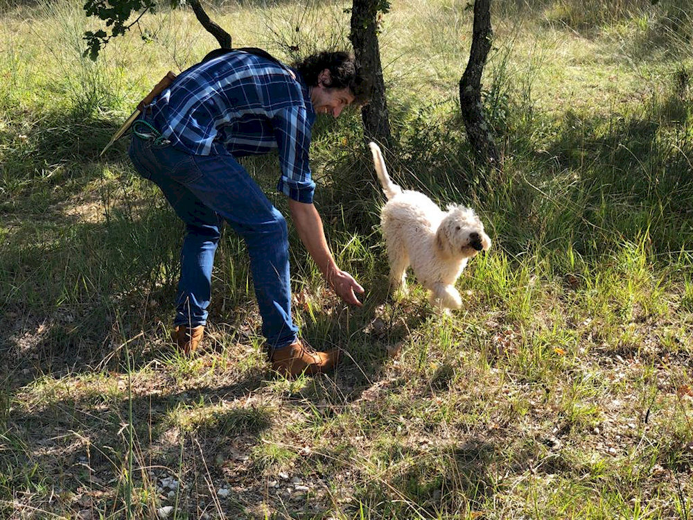 Events, truffle hunting booking